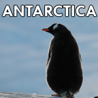 Antarctica 2008
