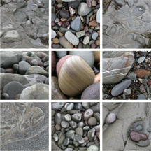 Beach Stones